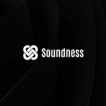 ZKP 验证网络 Soundness 万字研报:全景式解析其系统架构、技术创新、生态协同、性能瓶颈及竞争路径