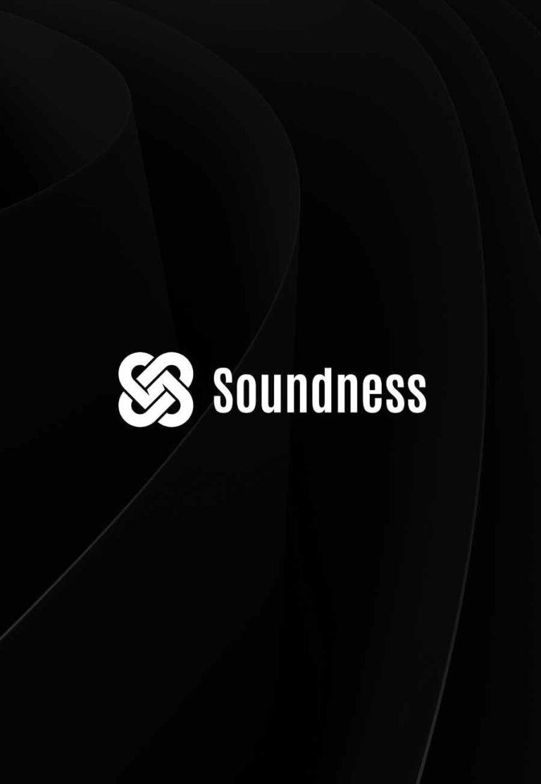ZKP 验证网络 Soundness 万字研报:全景式解析其系统架构、技术创新、生态协同、性能瓶颈及竞争路径